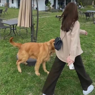 诞生于2020的莫扎特